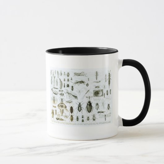 Mug Insectes d'entomologie (Droite)