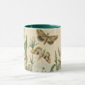 Mug Insectes vintages, Papillons, Caterpillar (Centre)