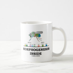 Mug Intérieur de morphogénèse (gènes de drosophile