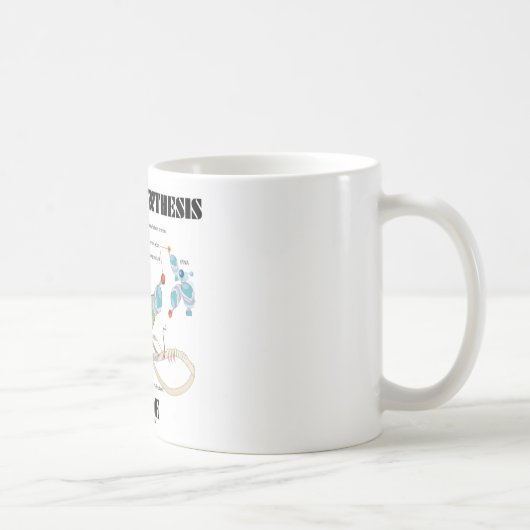 Mug Intérieur de synthèse de protéine (biologie (Droite)