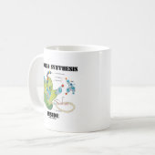 Mug Intérieur de synthèse de protéine (biologie (Devant gauche)
