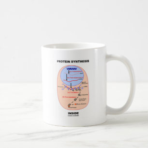 Mug Intérieur de synthèse de protéine (diagramme de