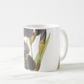 Mug iris barbu (Iris germanica) par Redouté (Devant droit)