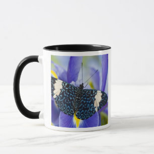 Mug Iris Pourpre Papillon Tropical