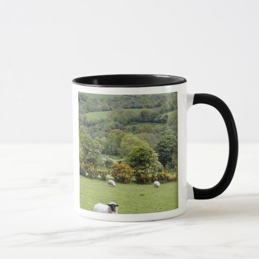 Mug Irlande de l'Ouest, péninsule de Dingle, large (Droite)