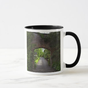 Mug Irlande, le château de Dromoland très vert