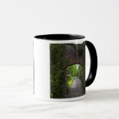 Mug Irlande, le château de Dromoland très vert (Devant droit)