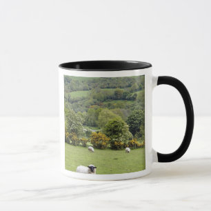 Mug Irlande occidentale, presqu'île de Dingle, large