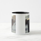 Mug Irlande. Verre de stout. (Centre)