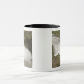 Mug Islande. La cascade de Hafragilsfoss en (Centre)
