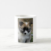 Mug Islandhund (Centre)