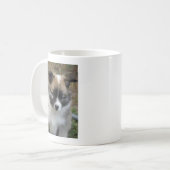 Mug Islandhund (Devant gauche)