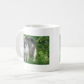 Mug Islandhund (Devant gauche)