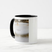 Mug Italie, Florence, Aviron de couple avec (Devant gauche)