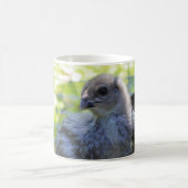 Mug Jacinthe des bois (Centre)