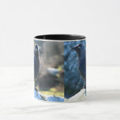 Mug Jackdaw duo (Centre)