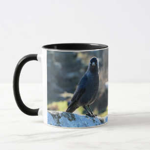 Mug Jackdaw duo