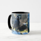 Mug Jackdaw duo (Devant gauche)