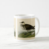 Mug Jager (Pomarine Jaeger) Audubon's Birds of America (Devant droit)