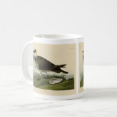 Mug Jager (Pomarine Jaeger) Audubon's Birds of America (Devant gauche)