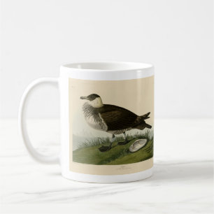 Mug Jager (Pomarine Jaeger) Audubon's Birds of America