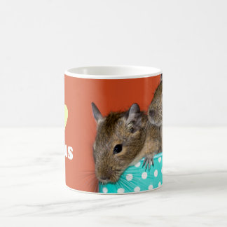 Mug J'aime Degus