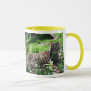 Mug J'AIME LES Maine Coons