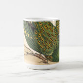 Mug James Sowerby Parrot terrestre, Psittacus terrestr (Centre)