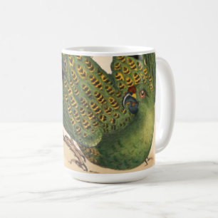 Mug James Sowerby Parrot terrestre, Psittacus terrestr