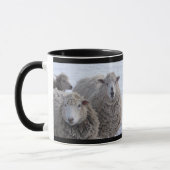 Mug Janvier Deux Moutons Visages (Gauche)