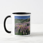 Mug JARBIDGE WILDERNESS, NEVADA.États-Unis Lupine d'ép (Gauche)