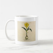 Mug Jardin botanique de tulipe Amaryllis Fleur (Gauche)