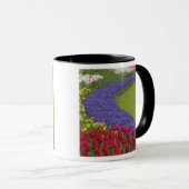 Mug Jardin de Tulip et de Grape Hyacinth et daffodil, (Devant droit)