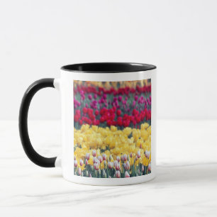 Mug Jardin de tulipes dans la vallée de Skagit,