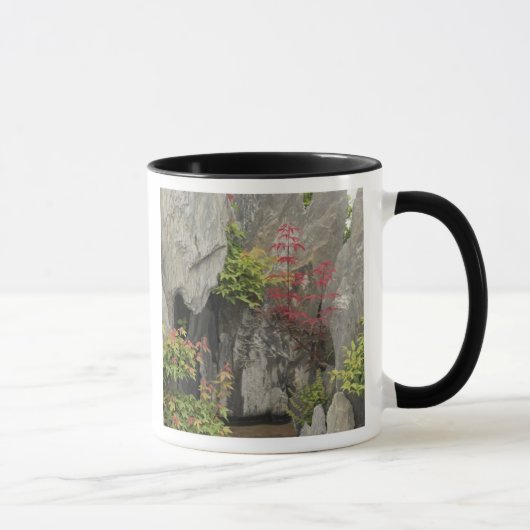 Mug Jardin familial de Bao, Huangshan, Chine. (Droite)
