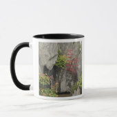 Mug Jardin familial de Bao, Huangshan, Chine. (Gauche)