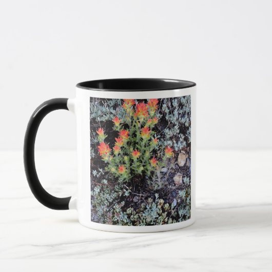 Mug Jardin miniature à Gem Lake (Gauche)