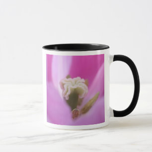 Mug Jardins de Keukenhof, Hollande, se spécialise en 3