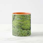 Mug Jardins de thé de Munnar sur café (Centre)