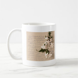 Mug jasmin sur vieux script dames à manches longues t-
