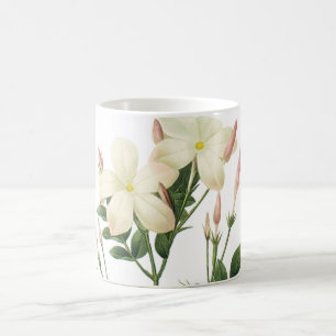 Mug jasmine (Jasminum grandiflorum) par Redouté