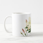 Mug jasmine (Jasminum grandiflorum) par Redouté (Gauche)