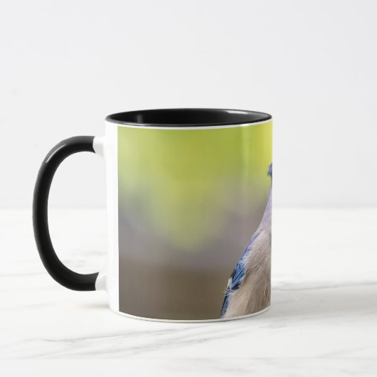 Mug Jay bleu avec arachide (Gauche)
