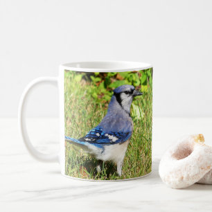 Mug Jay bleu du nord