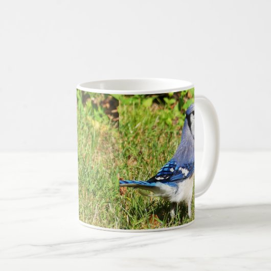 Mug Jay bleu du nord (Devant droit)