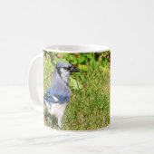 Mug Jay bleu du nord (Devant gauche)