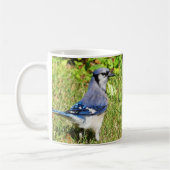 Mug Jay bleu du nord (Gauche)