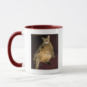 Mug Je suis sur cette carte stupide (Gauche)