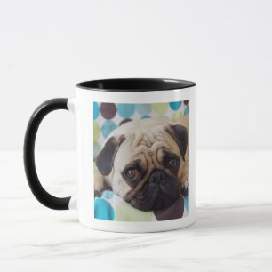 Mug jeune animal familier curieux