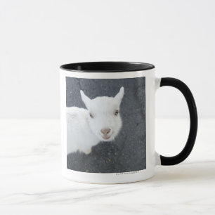 Mug Jeune chèvre
